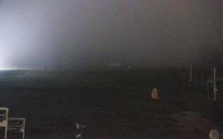 Zieleniec PTZ #2 - 04-11-2025 00:08