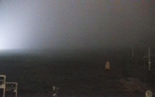 Zieleniec PTZ #2 - 04-11-2025 00:24