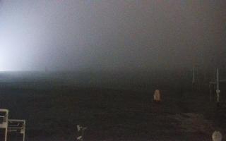 Zieleniec PTZ #2 - 04-11-2025 00:31