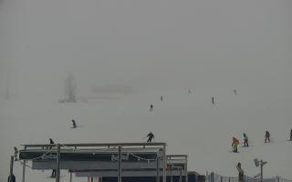 Zieleniec PTZ #2 Winterpol - 29-01-2026 10:34