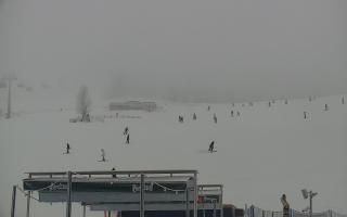 Zieleniec PTZ #2 Winterpol - 29-01-2026 12:07