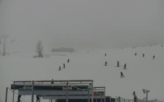 Zieleniec PTZ #2 Winterpol - 29-01-2026 12:37