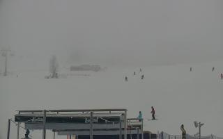 Zieleniec PTZ #2 Winterpol - 29-01-2026 13:16