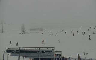 Zieleniec PTZ #2 Winterpol - 29-01-2026 13:39