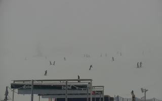 Zieleniec PTZ #2 Winterpol - 29-01-2026 13:54