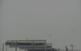 Zieleniec PTZ #2 Winterpol - 29-01-2026 14:48