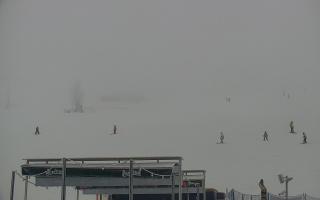 Zieleniec PTZ #2 Winterpol - 29-01-2026 15:04