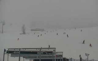 Zieleniec PTZ #2 Winterpol - 29-01-2026 15:11