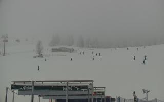 Zieleniec PTZ #2 Winterpol - 29-01-2026 15:19