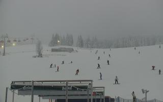 Zieleniec PTZ #2 Winterpol - 29-01-2026 15:27