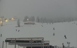 Zieleniec PTZ #2 Winterpol - 29-01-2026 15:35