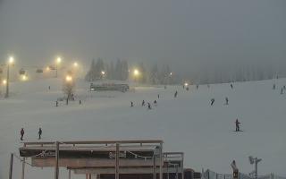 Zieleniec PTZ #2 Winterpol - 29-01-2026 15:42