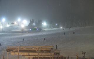 Zieleniec PTZ #2 Winterpol - 29-01-2026 16:29