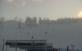 Zieleniec PTZ #2 Winterpol - 01-02-2026 14:30