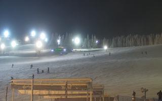 Zieleniec PTZ #2 Winterpol - 01-02-2026 17:19