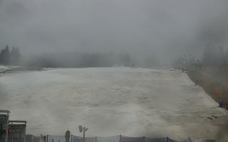 Zieleniec PTZ #2 Winterpol - 16-03-2026 05:39