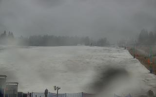 Zieleniec PTZ #2 Winterpol - 16-03-2026 06:25