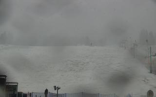 Zieleniec PTZ #2 Winterpol - 16-03-2026 07:42