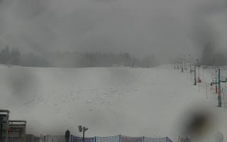 Zieleniec PTZ #2 Winterpol - 16-03-2026 08:36