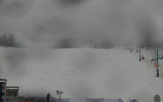 Zieleniec PTZ #2 Winterpol - 16-03-2026 08:51