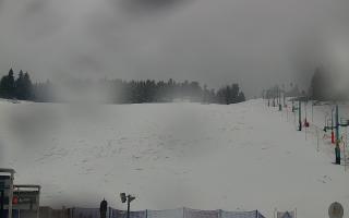 Zieleniec PTZ #2 Winterpol - 16-03-2026 09:22