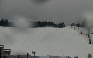 Zieleniec PTZ #2 Winterpol - 16-03-2026 10:01