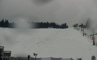 Zieleniec PTZ #2 Winterpol - 16-03-2026 10:08