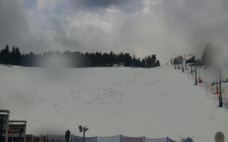 Zieleniec PTZ #2 Winterpol - 16-03-2026 10:24