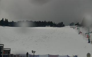 Zieleniec PTZ #2 Winterpol - 16-03-2026 10:32