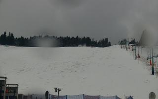 Zieleniec PTZ #2 Winterpol - 16-03-2026 10:39