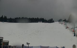 Zieleniec PTZ #2 Winterpol - 16-03-2026 10:47