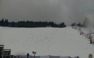 Zieleniec PTZ #2 Winterpol - 16-03-2026 10:55