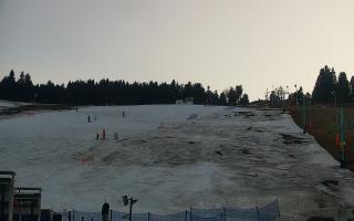 Zieleniec PTZ #2 Winterpol - 21-03-2026 16:27