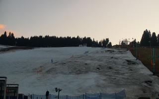 Zieleniec PTZ #2 Winterpol - 21-03-2026 16:58