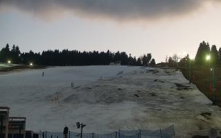 Zieleniec PTZ #2 Winterpol - 21-03-2026 17:21