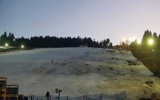 Zieleniec PTZ #2 Winterpol - 21-03-2026 17:29