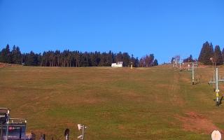 Zieleniec PTZ #2 Winterpol - 01-05-2026 04:06