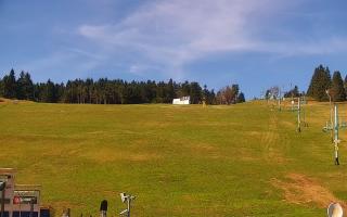 Zieleniec PTZ #2 Winterpol - 03-05-2026 07:53