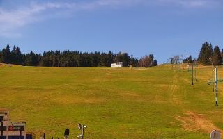 Zieleniec PTZ #2 Winterpol - 03-05-2026 09:02