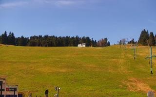 Zieleniec PTZ #2 Winterpol - 03-05-2026 09:17