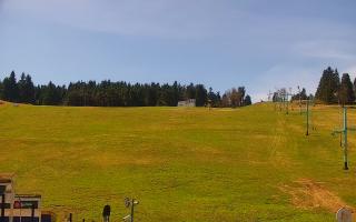 Zieleniec PTZ #2 Winterpol - 03-05-2026 10:19