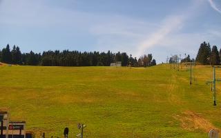 Zieleniec PTZ #2 Winterpol - 03-05-2026 10:35