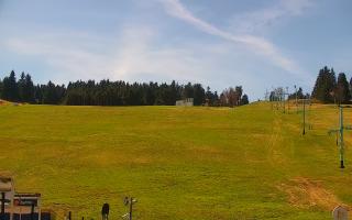 Zieleniec PTZ #2 Winterpol - 03-05-2026 10:50