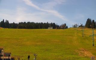 Zieleniec PTZ #2 Winterpol - 03-05-2026 10:58