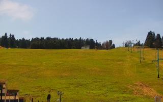 Zieleniec PTZ #2 Winterpol - 03-05-2026 11:44
