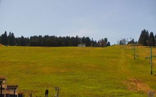 Zieleniec PTZ #2 Winterpol - 03-05-2026 11:59
