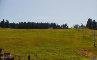 Zieleniec PTZ #2 Winterpol - 03-05-2026 13:32
