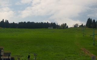 Zieleniec PTZ #2 Winterpol - 13-05-2026 11:37