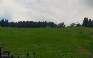 Zieleniec PTZ #2 Winterpol - 13-05-2026 11:45