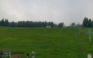Zieleniec PTZ #2 Winterpol - 13-06-2026 03:39